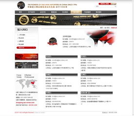 網站建設公司永燦案例 圣皮爾集團官網