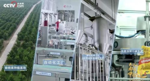 洽洽食品榮膺“十四五”雙項殊榮，樹立堅果行業(yè)管理新標(biāo)桿